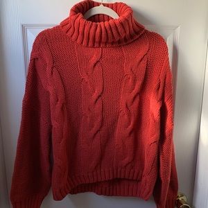 Turtleneck Sweater NWOT